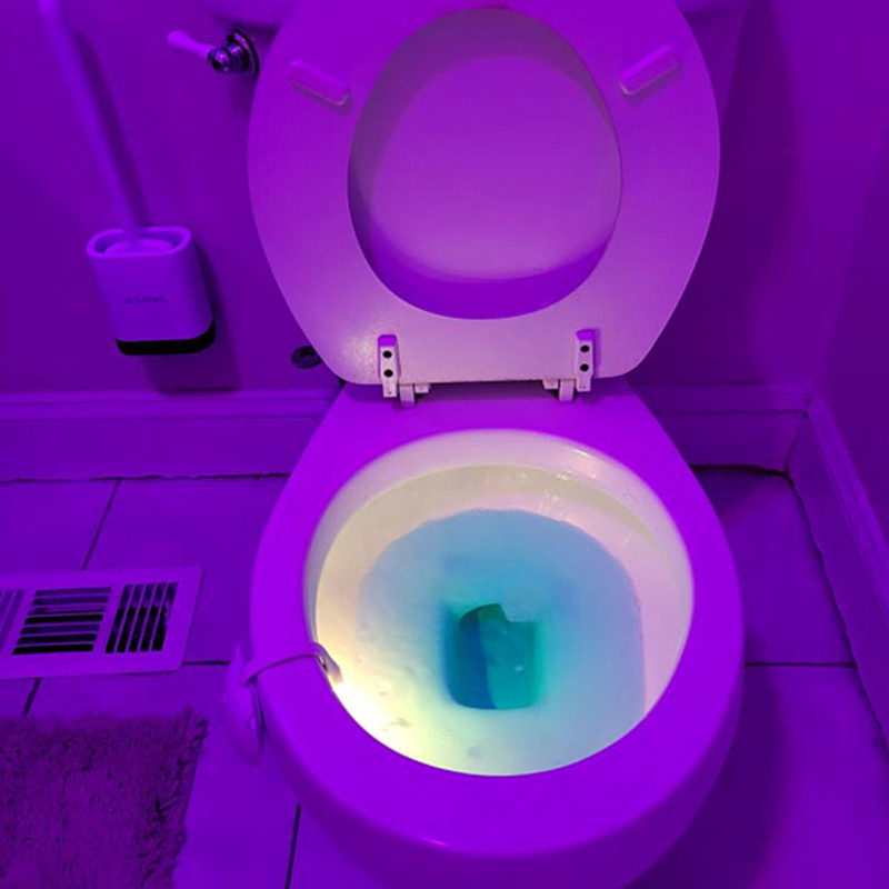 Toilet Bowl Light Toilet Bowl Light