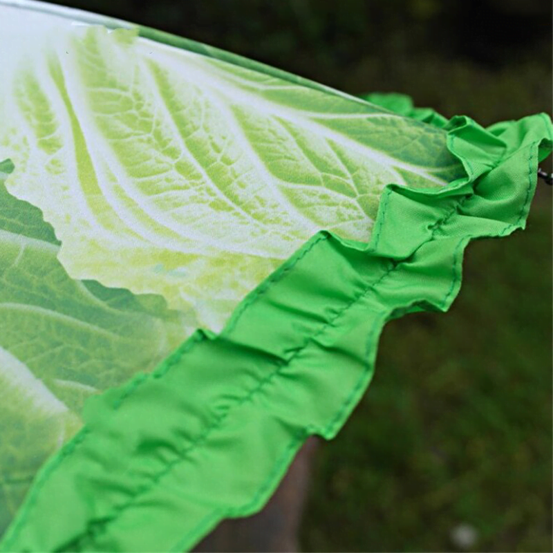 Lettuce Umbrella Lettuce Umbrella