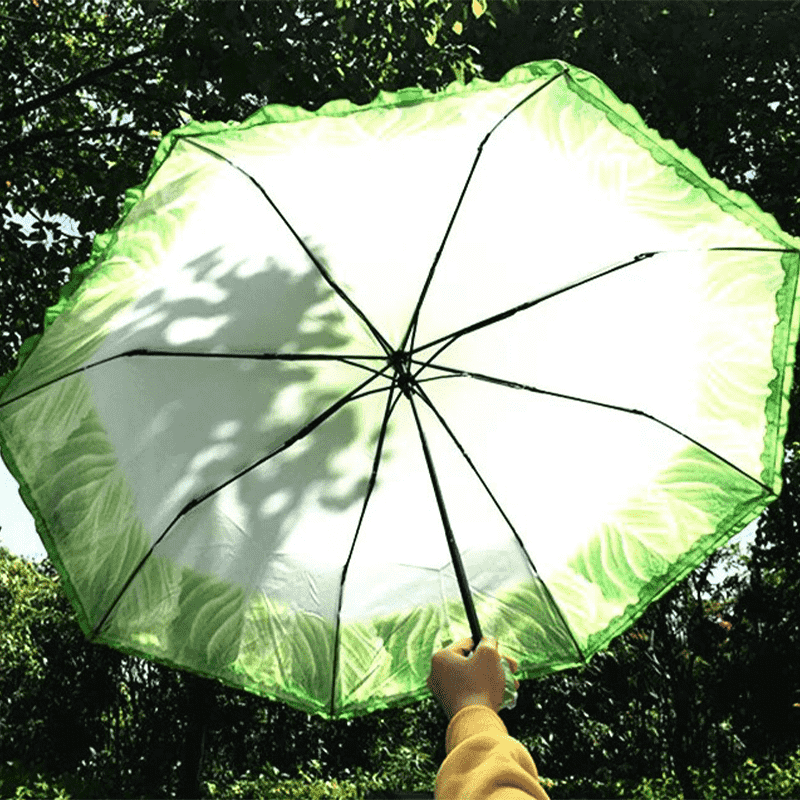 Lettuce Umbrella Lettuce Umbrella