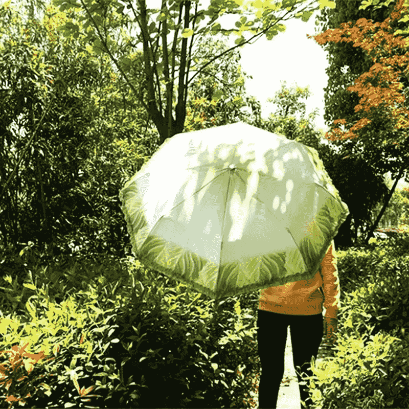 Lettuce Umbrella Lettuce Umbrella