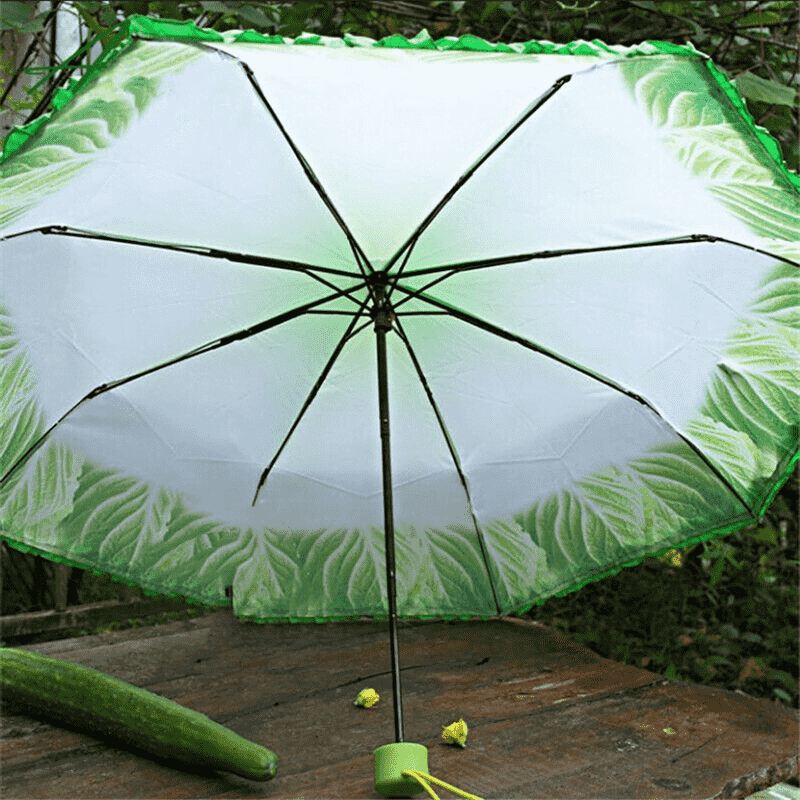 Lettuce Umbrella Lettuce Umbrella