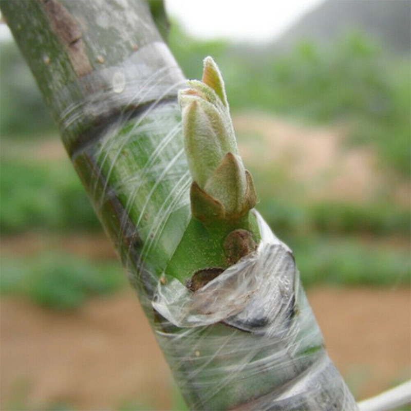 Tree Grafting Parafilm tape Tree Grafting Parafilm tape