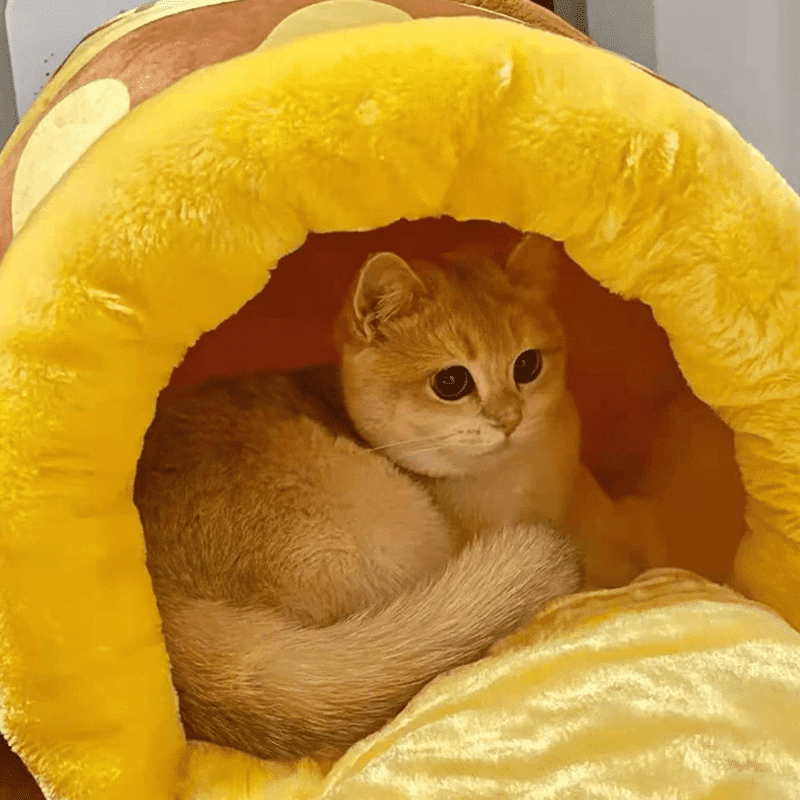 Honey Pot Cat Bed Honey Pot Cat Bed
