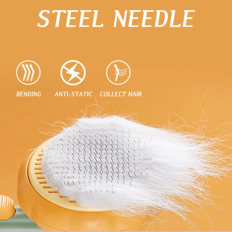 pumpkin Pet brush pumpkin Pet brush