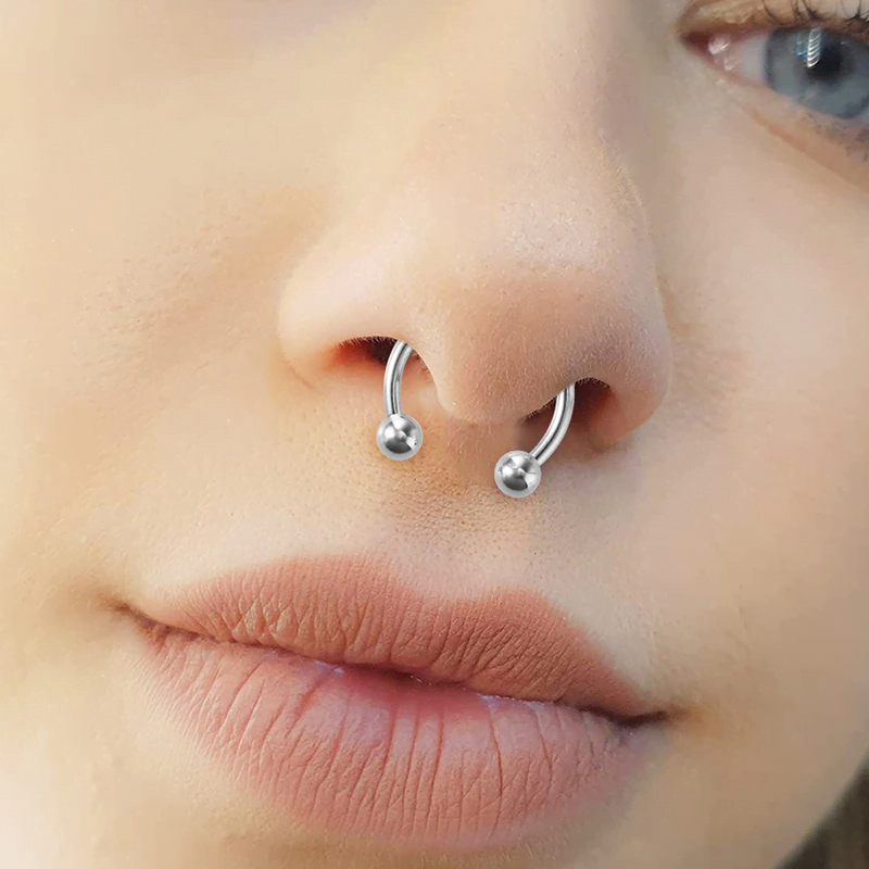 Magnetic Septum Ring Magnetic Septum Ring