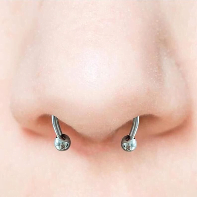 Magnetic Septum Ring Magnetic Septum Ring