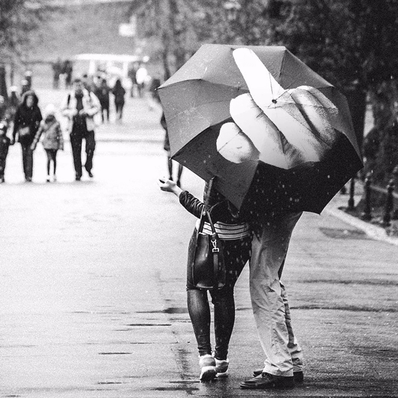 Middle Finger Umbrella Middle Finger Umbrella