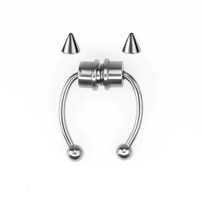 Magnetic Septum Ring Magnetic Septum Ring