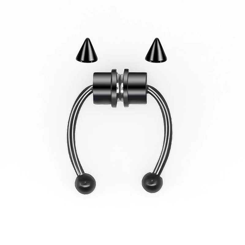 Magnetic Septum Ring Magnetic Septum Ring