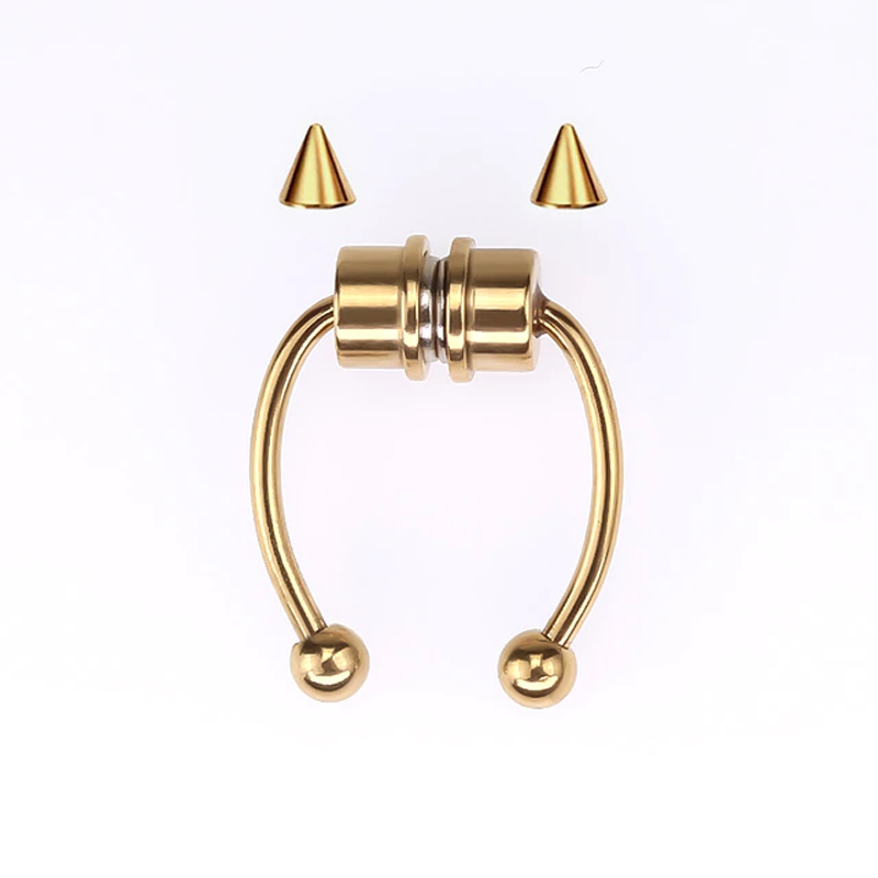 Magnetic Septum Ring Magnetic Septum Ring