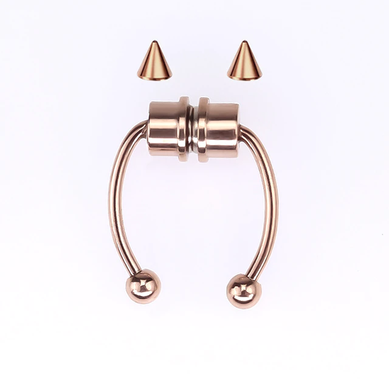 Magnetic Septum Ring Magnetic Septum Ring