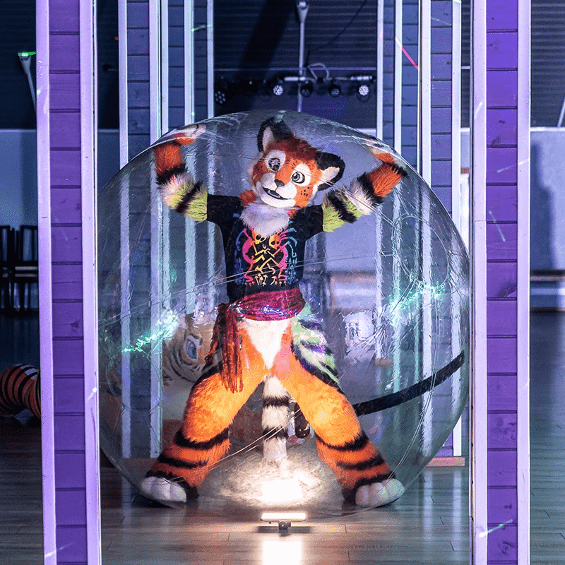 Child Water Walking Ball Child Water Walking Ball