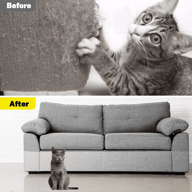 Sofa Scratch Guard Sofa Scratch Guard