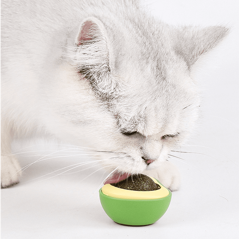Avocado Catnip Ball Avocado Catnip Ball