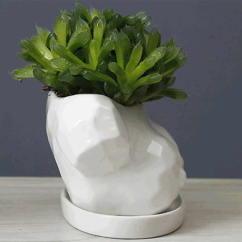 Boobs Plant Pot Boobs Plant Pot