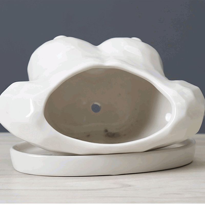 Boobs Plant Pot Boobs Plant Pot