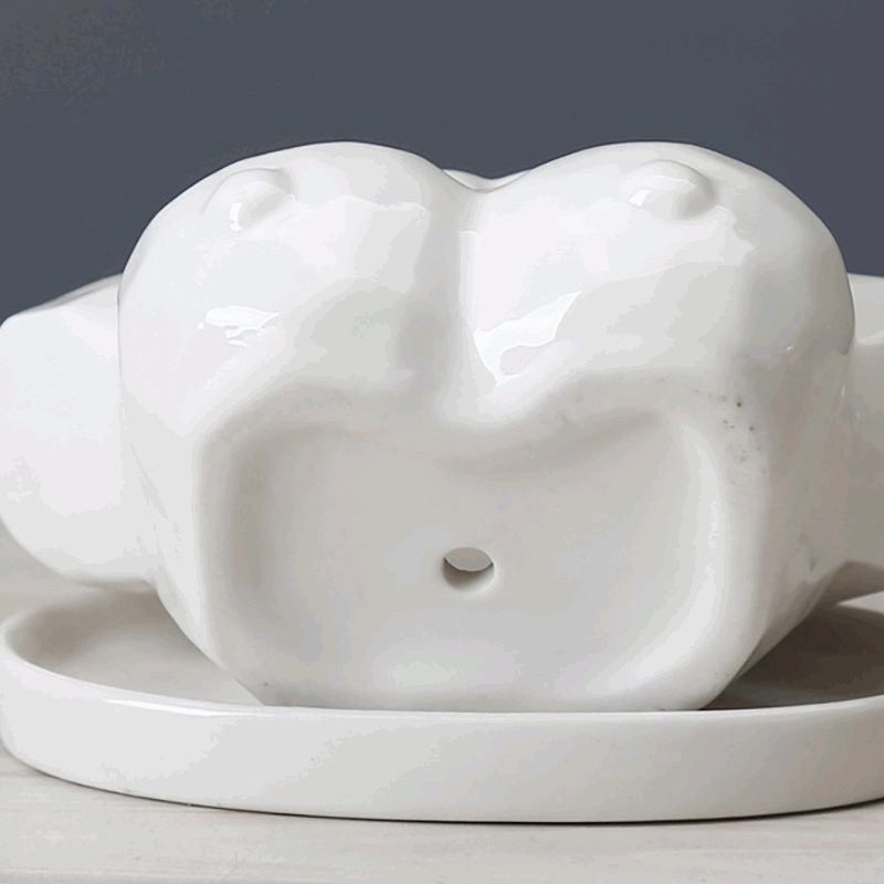 Boobs Plant Pot Boobs Plant Pot