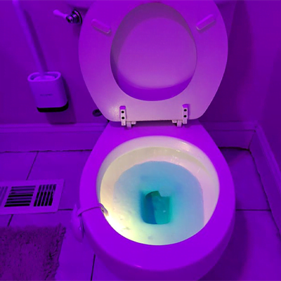Motion Sensor LED Toilet Bowl Light