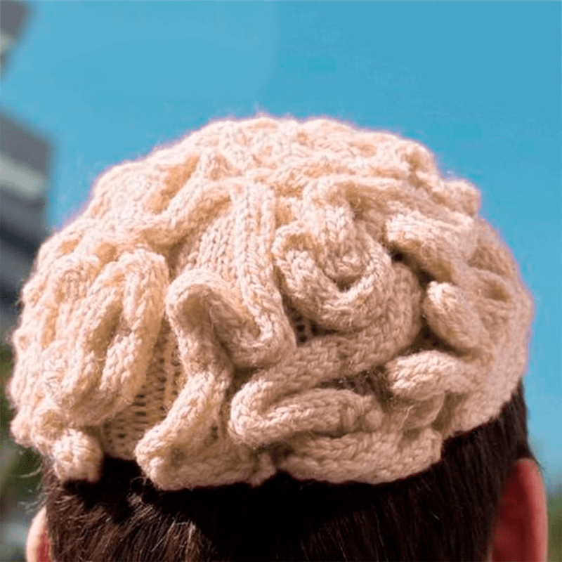 Knitted Brain Hat Knitted Brain Hat