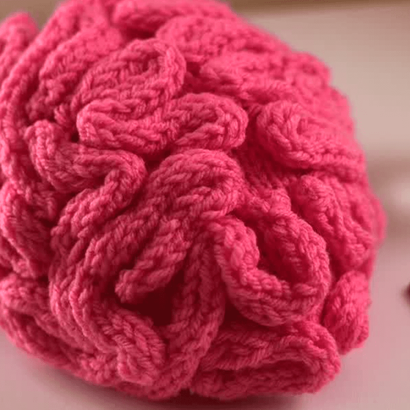 Knitted Brain Hat Knitted Brain Hat