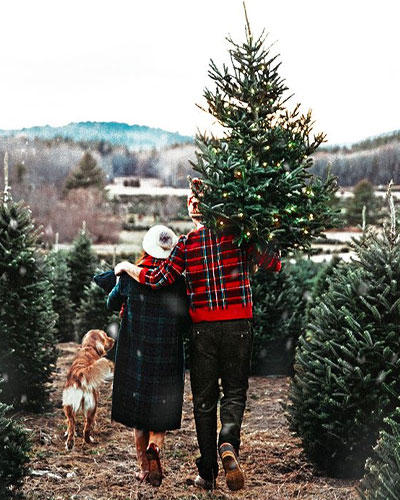 Couple picture ideas for christmas