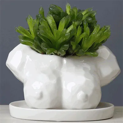 boobs-plant-pot